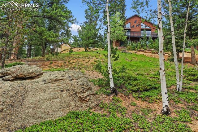 MLS Image for 104  Mt Elbert  ,Florissant, Colorado