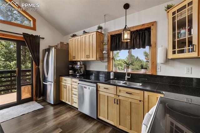 MLS Image for 104  Mt Elbert  ,Florissant, Colorado