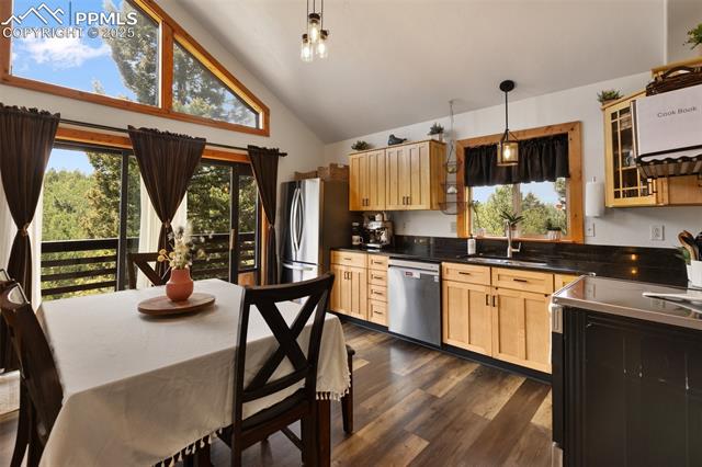 MLS Image for 104  Mt Elbert  ,Florissant, Colorado