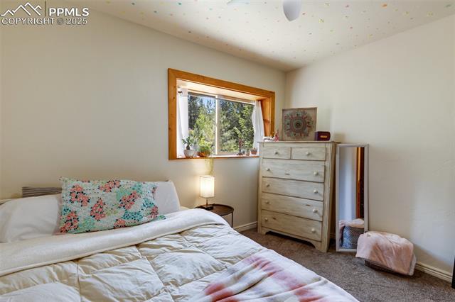 MLS Image for 104  Mt Elbert  ,Florissant, Colorado
