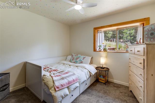 MLS Image for 104  Mt Elbert  ,Florissant, Colorado