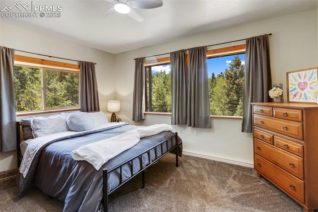 MLS Image for 104  Mt Elbert  ,Florissant, Colorado
