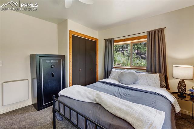 MLS Image for 104  Mt Elbert  ,Florissant, Colorado