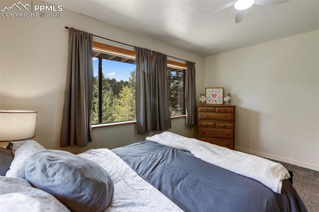 MLS Image for 104  Mt Elbert  ,Florissant, Colorado