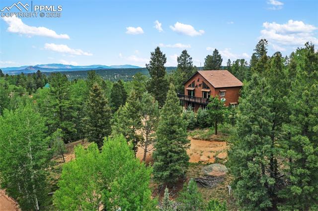 MLS Image for 104  Mt Elbert  ,Florissant, Colorado