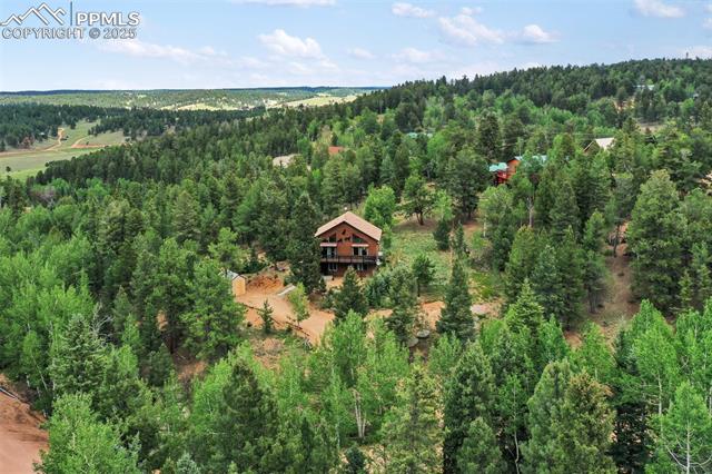 MLS Image for 104  Mt Elbert  ,Florissant, Colorado