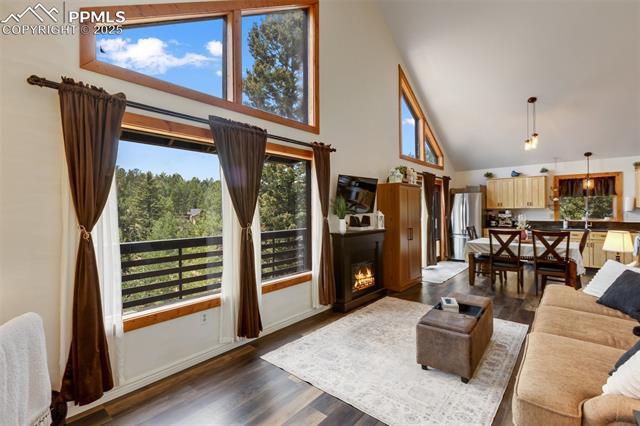 MLS Image for 104  Mt Elbert  ,Florissant, Colorado