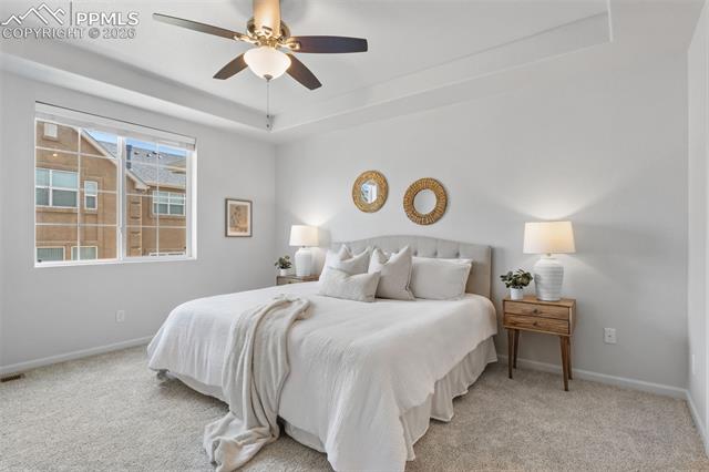 MLS Image for 5859  Leon Young  ,Colorado Springs, Colorado