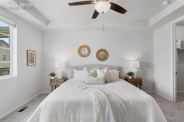 MLS Image for 5859  Leon Young  ,Colorado Springs, Colorado