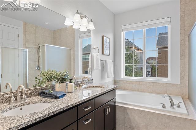 MLS Image for 5859  Leon Young  ,Colorado Springs, Colorado