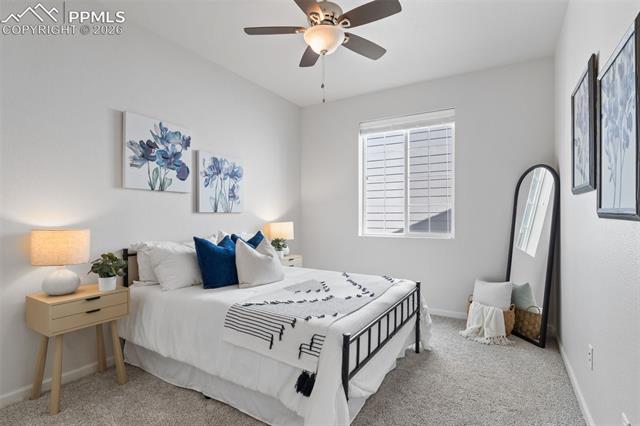 MLS Image for 5859  Leon Young  ,Colorado Springs, Colorado