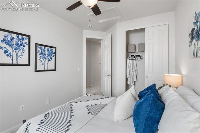 MLS Image for 5859  Leon Young  ,Colorado Springs, Colorado