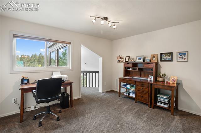 MLS Image for 45  Barr Lake  ,Divide, Colorado