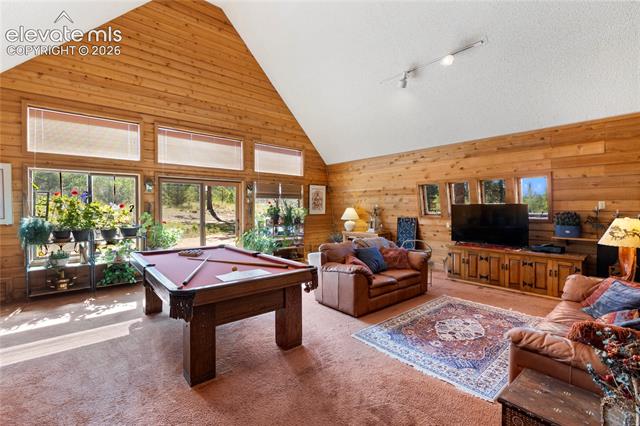 MLS Image for 303  Ute  ,Woodland Park, Colorado