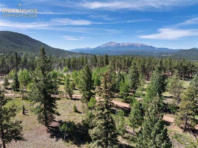 MLS Image for 303  Ute  ,Woodland Park, Colorado