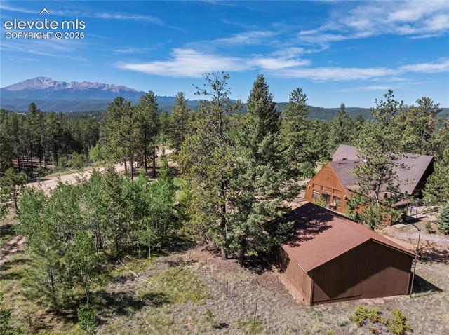MLS Image for 303  Ute  ,Woodland Park, Colorado