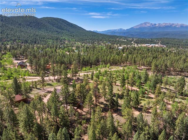 MLS Image for 303  Ute  ,Woodland Park, Colorado