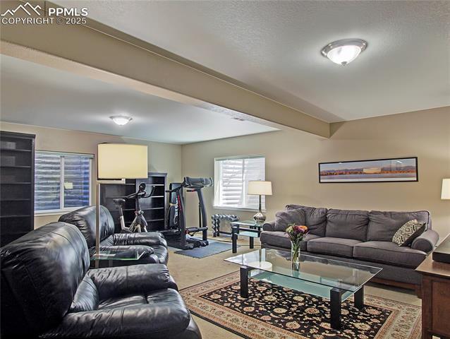 MLS Image for 6996  Mustang Rim  ,Colorado Springs, Colorado
