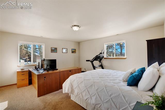 MLS Image for 350  Panther  ,Woodland Park, Colorado