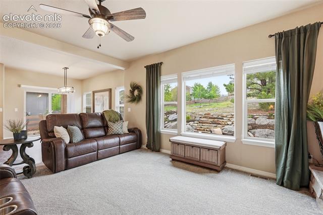 MLS Image for 233  Coyote Willow  ,Colorado Springs, Colorado