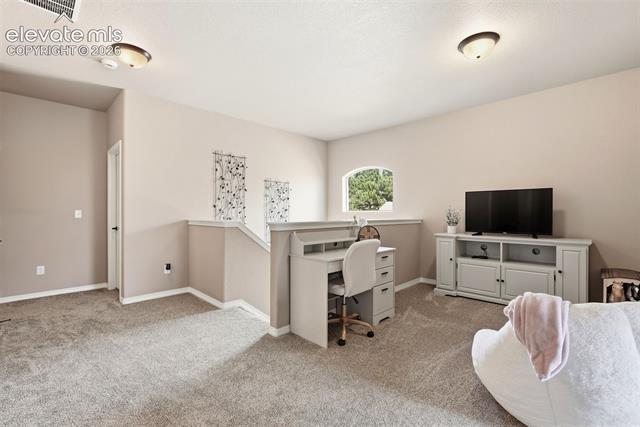 MLS Image for 233  Coyote Willow  ,Colorado Springs, Colorado