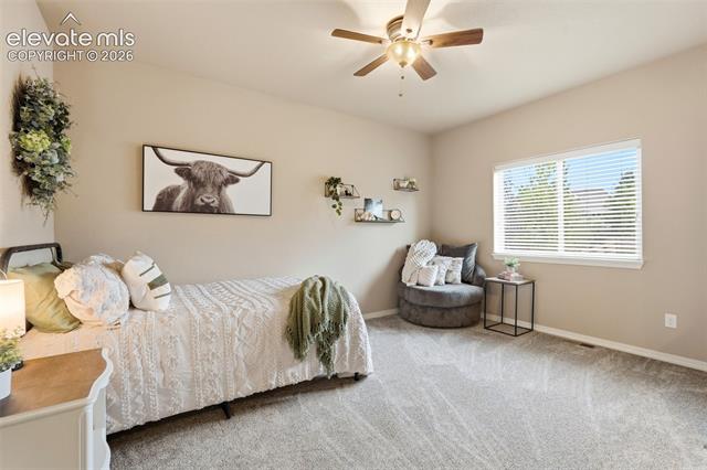 MLS Image for 233  Coyote Willow  ,Colorado Springs, Colorado