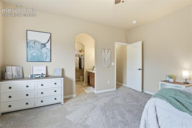 MLS Image for 233  Coyote Willow  ,Colorado Springs, Colorado