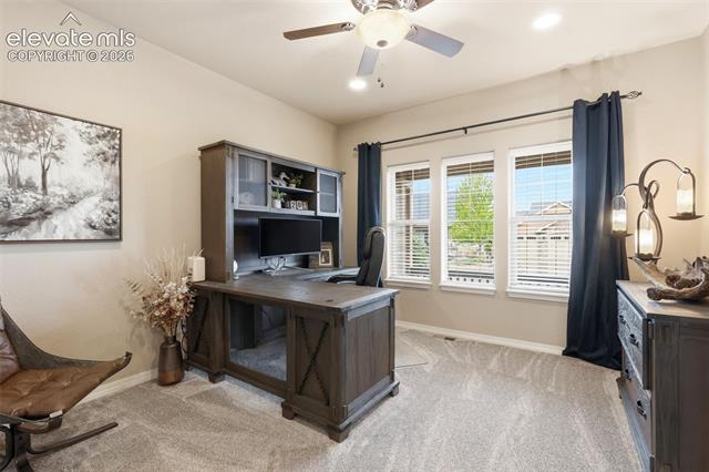 MLS Image for 233  Coyote Willow  ,Colorado Springs, Colorado