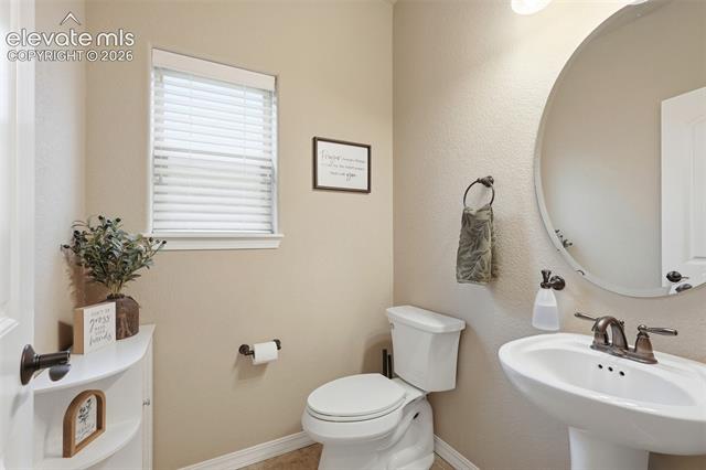 MLS Image for 233  Coyote Willow  ,Colorado Springs, Colorado