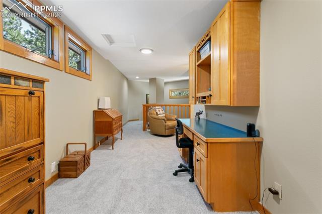 MLS Image for 19902 W Elk Creek  ,Colorado Springs, Colorado