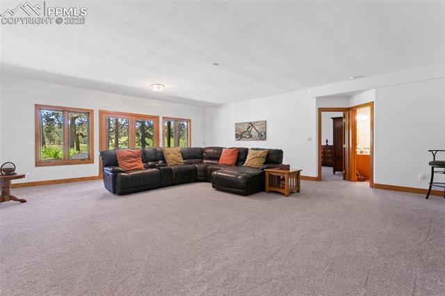 MLS Image for 19902 W Elk Creek  ,Colorado Springs, Colorado