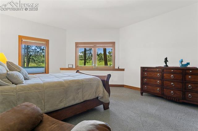 MLS Image for 19902 W Elk Creek  ,Colorado Springs, Colorado