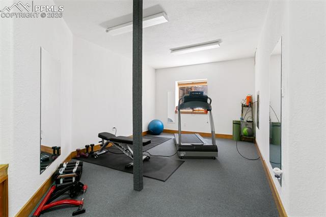 MLS Image for 19902 W Elk Creek  ,Colorado Springs, Colorado