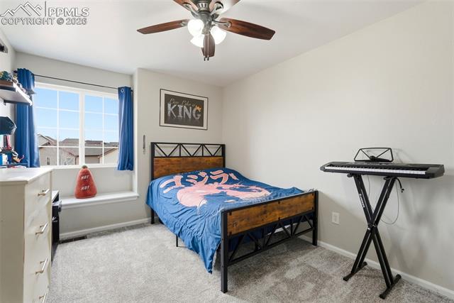 MLS Image for 6907  Shimmering Leaf  ,Colorado Springs, Colorado