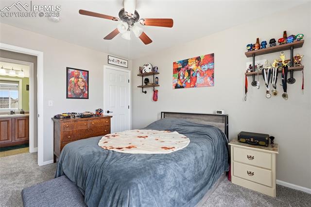 MLS Image for 6907  Shimmering Leaf  ,Colorado Springs, Colorado