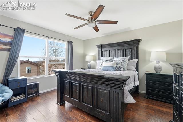 MLS Image for 6907  Shimmering Leaf  ,Colorado Springs, Colorado