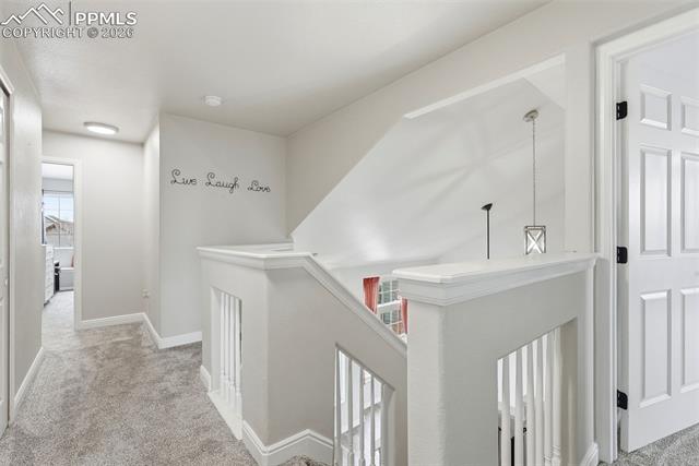 MLS Image for 6907  Shimmering Leaf  ,Colorado Springs, Colorado