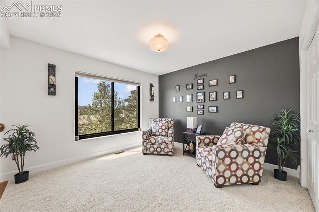 MLS Image for 133  Matthew  ,Divide, Colorado