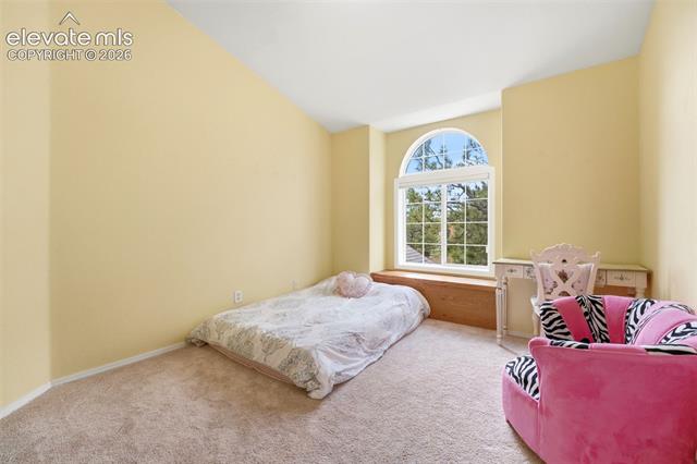 MLS Image for 2221  Valley View  ,Woodland Park, Colorado