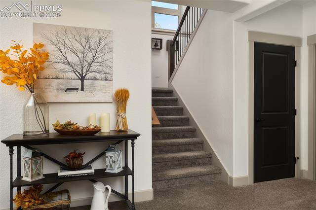 MLS Image for 1340  Blue Haven  ,Woodland Park, Colorado