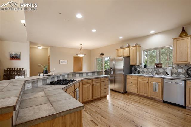 MLS Image for 1020  Skyline  ,Woodland Park, Colorado