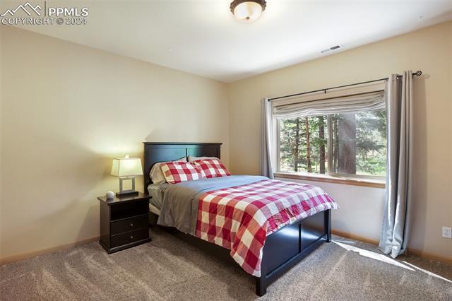 MLS Image for 1020  Skyline  ,Woodland Park, Colorado