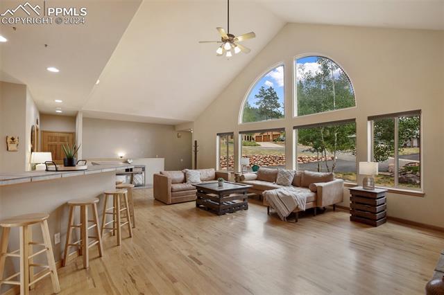 MLS Image for 1020  Skyline  ,Woodland Park, Colorado