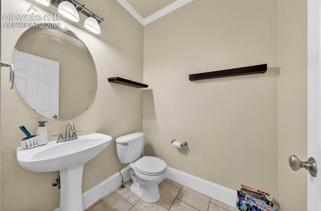 MLS Image for 6660  Big Leaf  ,Colorado Springs, Colorado