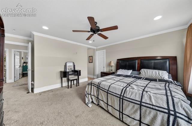MLS Image for 6660  Big Leaf  ,Colorado Springs, Colorado