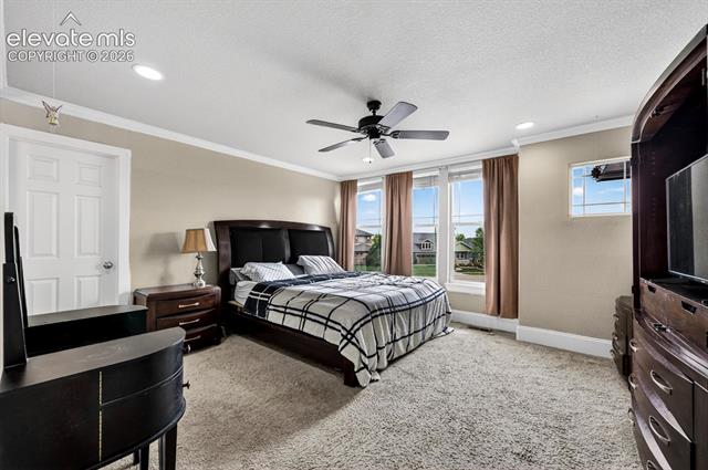 MLS Image for 6660  Big Leaf  ,Colorado Springs, Colorado