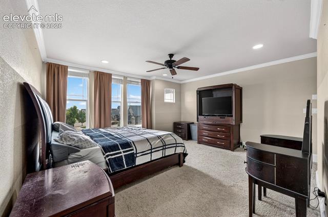 MLS Image for 6660  Big Leaf  ,Colorado Springs, Colorado