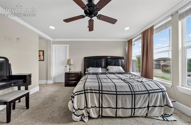 MLS Image for 6660  Big Leaf  ,Colorado Springs, Colorado