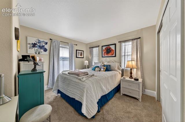 MLS Image for 6660  Big Leaf  ,Colorado Springs, Colorado