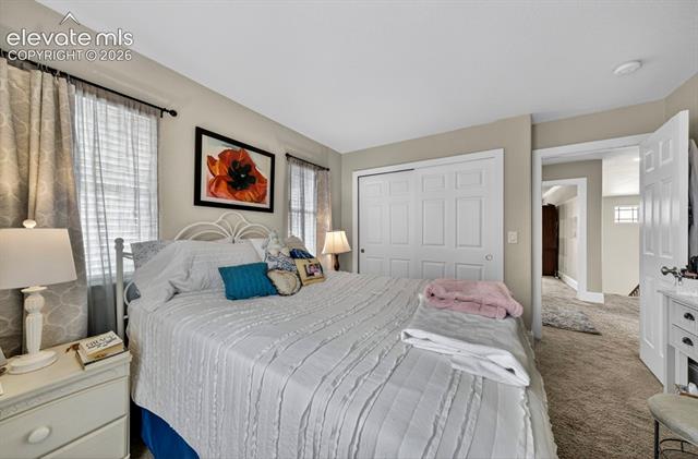 MLS Image for 6660  Big Leaf  ,Colorado Springs, Colorado